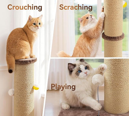 5-Inch Thick Sisal Cat Scratching Post, Durable Cat Scratcher - Image 5