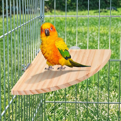 Bird Perch Platform Stand Wooden Parrot Perch Corner 6.7 Inches Fan Shape - Image 7