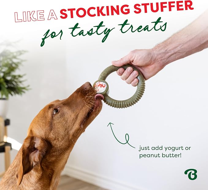 Benebone Peppermint Ring – Limited Edition Holiday Flavor, Durable Chew Toy - Image 4