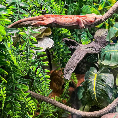 HERCOCCI 3 Pack Reptile Plants, Terrarium Hanging Plants Vines Artificial - Image 3