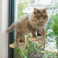 PETKARAY Cat Window Shelf, Original Cat Window Perch Stairs, Durable Kitty Seat by PETKARAY