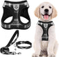 PUPTECK Adjustable Dog Harness Collar and Leash Set Step in No Pull Pet Harness by PUPTECK