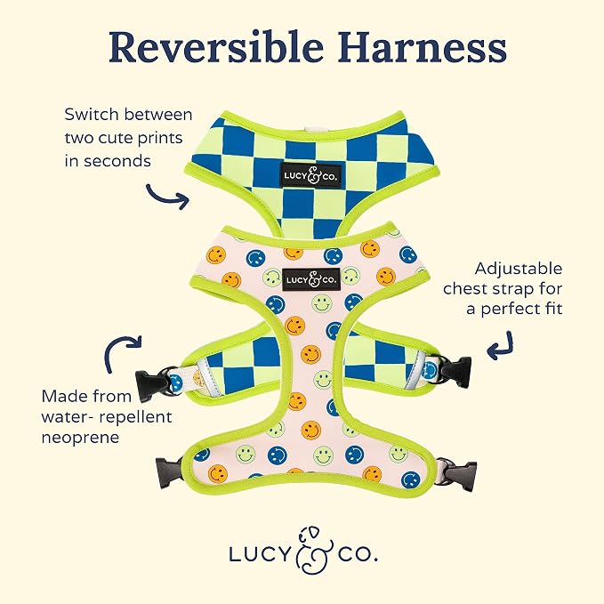 Lucy & Co. Lime Green with Blue Checker Smiley Faces, Cute Reversible Dog - Image 4