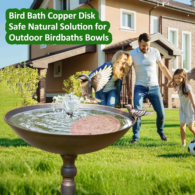 Bird Bath Copper Disk, 0.6mm Thick 99.99% Pure Copper Purification Disk - Image 7