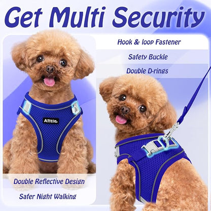 AIITLE Step in Dog Harness and Leash Set - Image 8