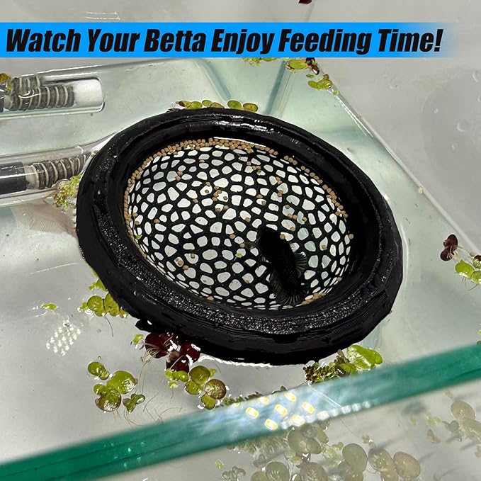 Aquarium Floating Betta Fish Skins, Betta or Shrimp Feeder, Cave and Hammock - Image 4