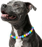 Beaded Dog Necklace Collar, Adjustable Jewelry-Inspired Design by JOGIA