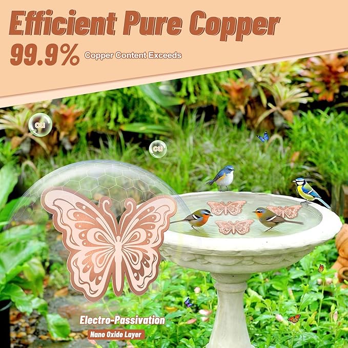 Bird Bath Copper Disk, 0.6mm Reinforced 99.9% Pure Copper Cleaning Disk - Image 3