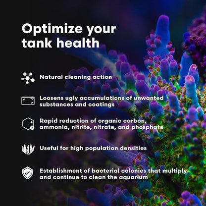 Brightwell Aquatics MicroBacter Clean - Image 3