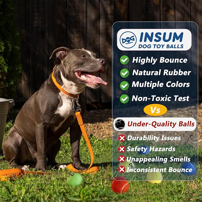 Tennis Balls for Dogs - Image 4