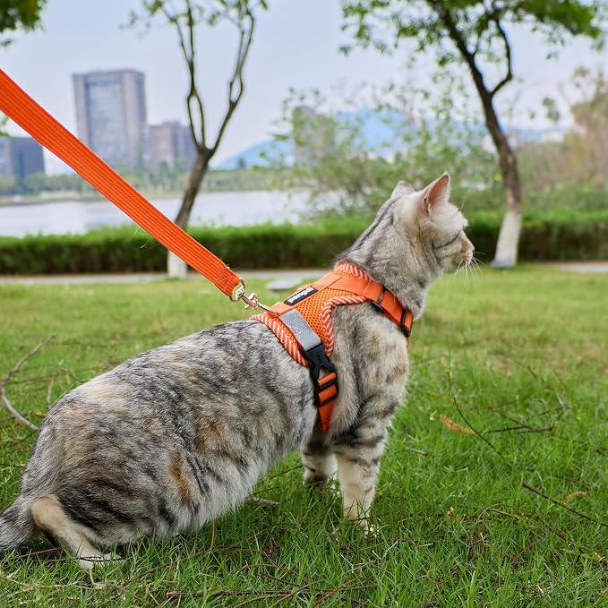 Cat Harness and Leash Escape Proof Extra Large Kitten Harness Maine Coon Cat - Image 2