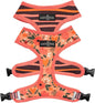 Lucy & Co. Reversible Dog Harness Walking Halter by LucyCo