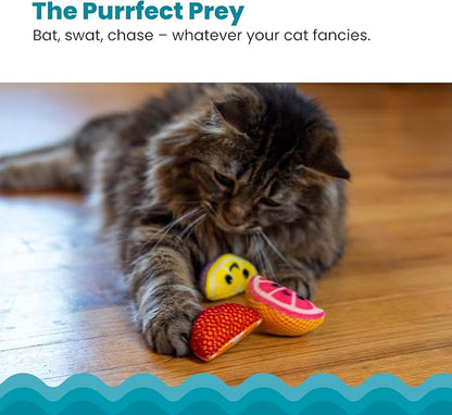 Catstages Dental Fruit Wedges 4 Pk, Soft and Textured Catnip Chew Toys That - Image 4