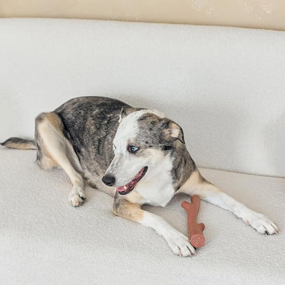 SPOT Bam-Bones Plus Branch -Bamboo Fiber & Nylon, Durable Long Lasting Dog Chew - Image 2