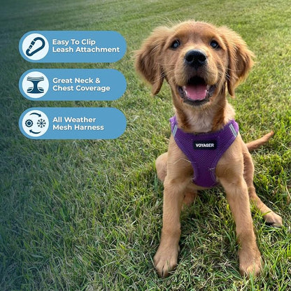 Best Pet Supplies Voyager Step-in Air All Weather Mesh Harness and Reflective - Image 5