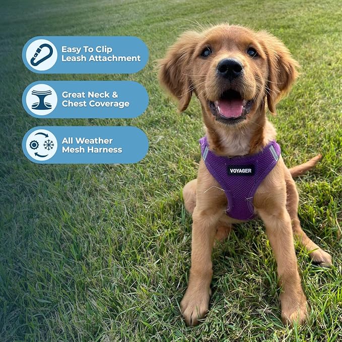 Best Pet Supplies Voyager Step-in Air All Weather Mesh Harness and Reflective - Image 5