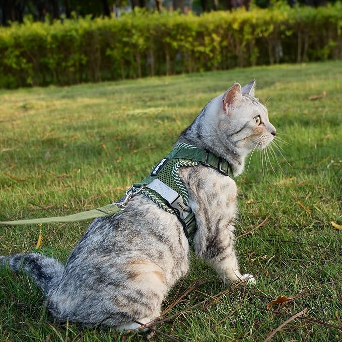 Cat Harness and Leash Escape Proof Large Kitten Harness Ragdoll Cat Vest - Image 2