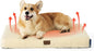 Bedsure Self Warming Dog Bed for Medium Dogs by BEDSURE