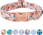 Unique style paws Dog Collar Metal Buckle Pink Rose Collar Flower Gift Durable by Uniquestylepaws