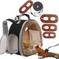 Bearded Dragon Travel Backpack by WEVONIGU