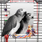 Colorday 9" Bird Mirror with Rope Perch, Bird Swing, Parrot Cage Toys by Colorday