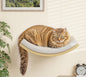Cat Wall Shelf with Curved Hammock Bed, Wall Mounted Cat Perch with Beige Soft by PELUOMOZ