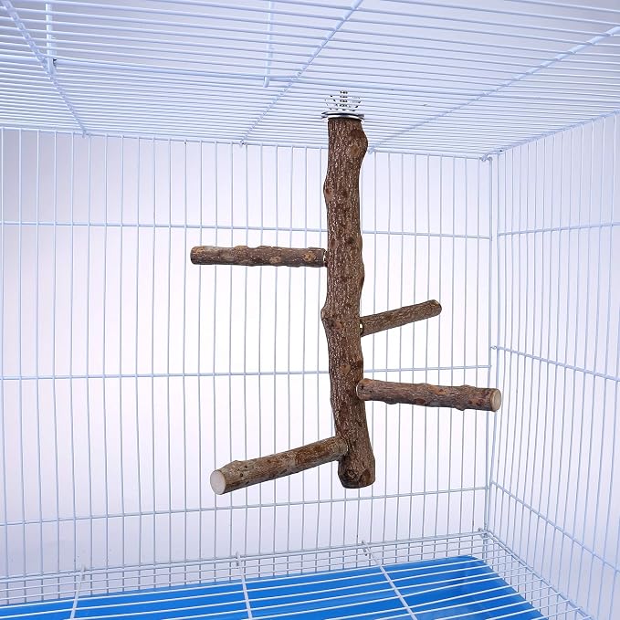 Bird Perch Stand Toy, Natural Wood Parrot Perch Bird Cage Branch Perch - Image 3