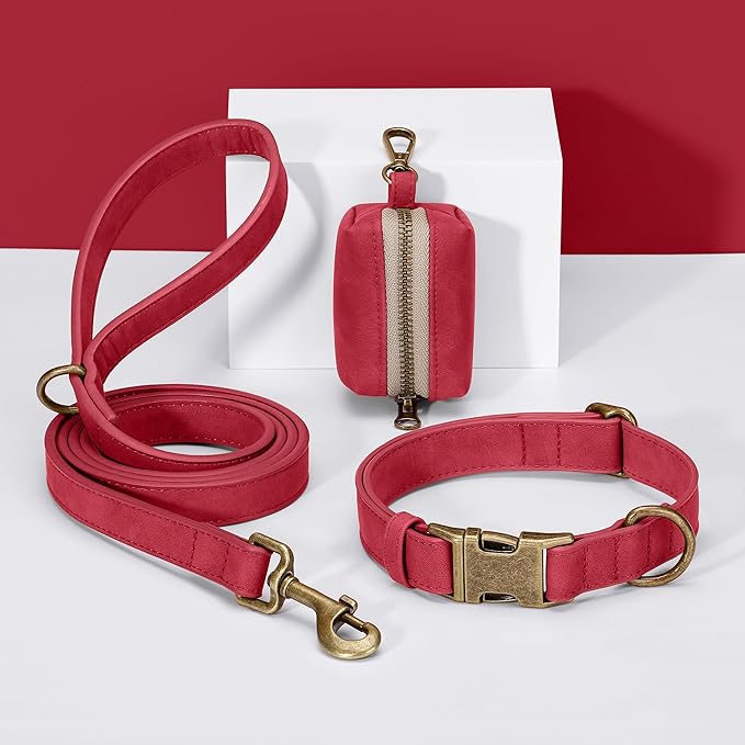 Didog Soft PU Leather Dog Collar, Stylish Quick Released Dog Collar - Image 5