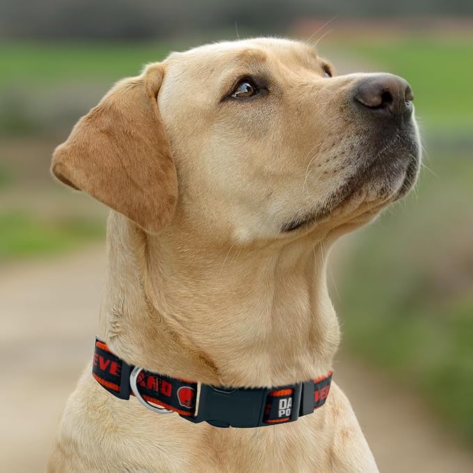 New & Improved Pets First NFL Licensed PET Collar- Heavy-Duty, and Durable New - Image 5