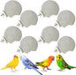 PINVNBY 8 PCS Bird Perch Parrot Beak Grinding Stone Calcium Mineral Parrot by PINVNBY