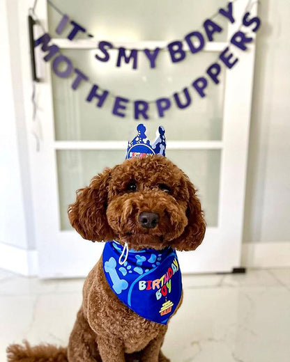 Dog Birthday Party Supplies - Image 2