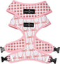 Lucy & Co. Cute Reversible Dog Harness Walking Halter by LucyCo
