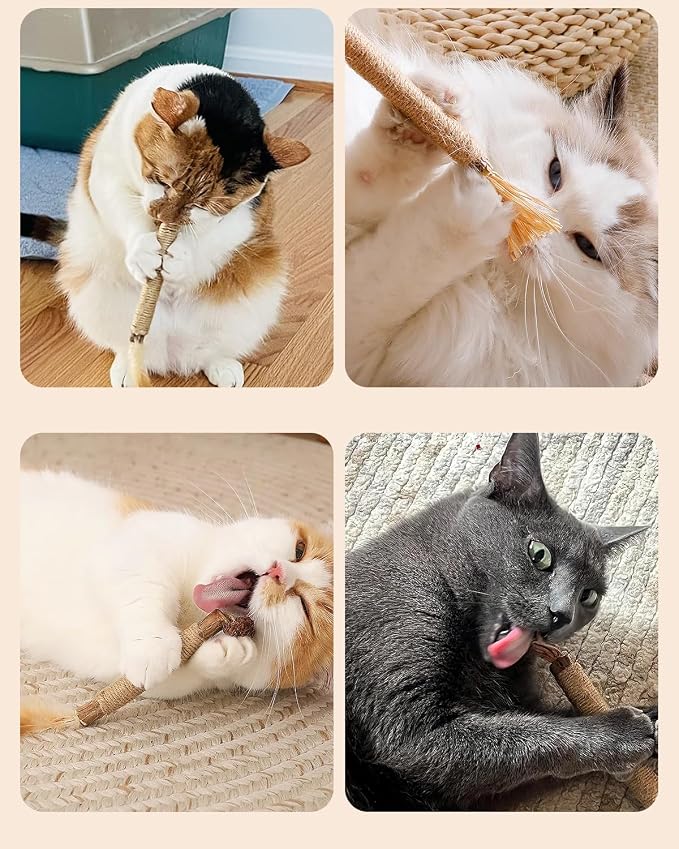 Tocirelo Silvervine Sticks Cat Toys - Image 7
