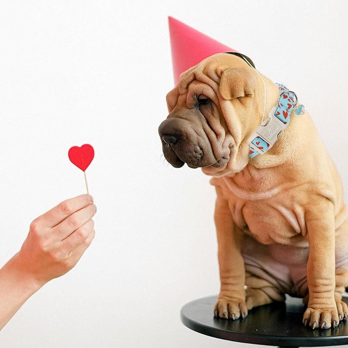 Valentines Dog Collar for Giant Large Dogs - Image 3