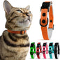 OutdoorBengal Orange Cat Collar Breakaway, Soft Padding by OutdoorBengal