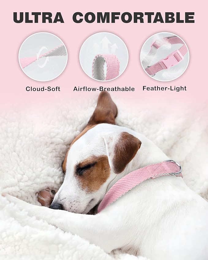 Dynmeow Soft and Breathable Cotton Dog Collar, Durable Adjustable Cute Female - Image 4