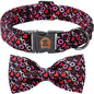 MR. CHUBBYFACE Valentine's Dog Collar by MrChubbyfacePetSupplies