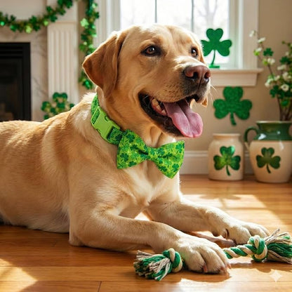 St. Patrick's Day Dog Collar - Image 4