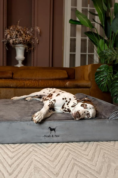 NOAH & PAW XL Dog Bed, Orthopedic Large Dog Beds, Eggshell Memory Foam Infused - Image 3