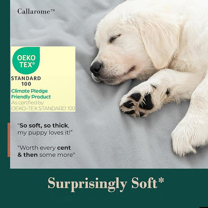 Waterproof Dog Blanket - Image 4
