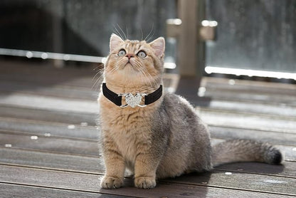 Heart Bling Cat Collar with Safety Belt and Bell Adjustable 8-10 inches - Image 5