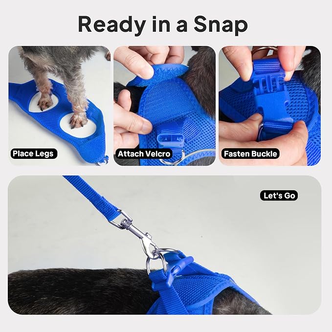 PetiFine Extra Small Step in Dog Harness and Leash Set, Cat Harness and Leash - Image 8