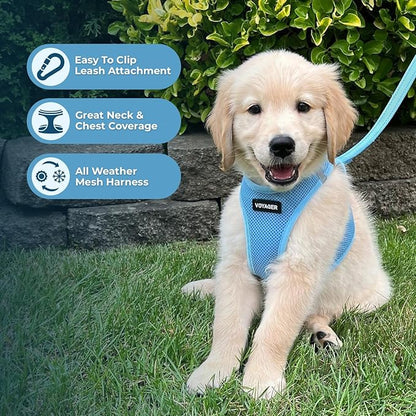 Best Pet Supplies Voyager Step-in Air All Weather Mesh Harness and Reflective - Image 5