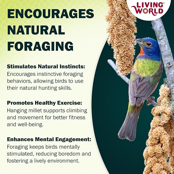 Living World – Millet Spray for Birds, 5 Pounds – Premium Treat for Budgies - Image 6