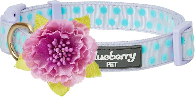 Blueberry Pet Dog Collar by BlueberryPet