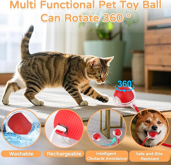 2025 New 3Pack Cat Ball Kitten Toys - Image 2