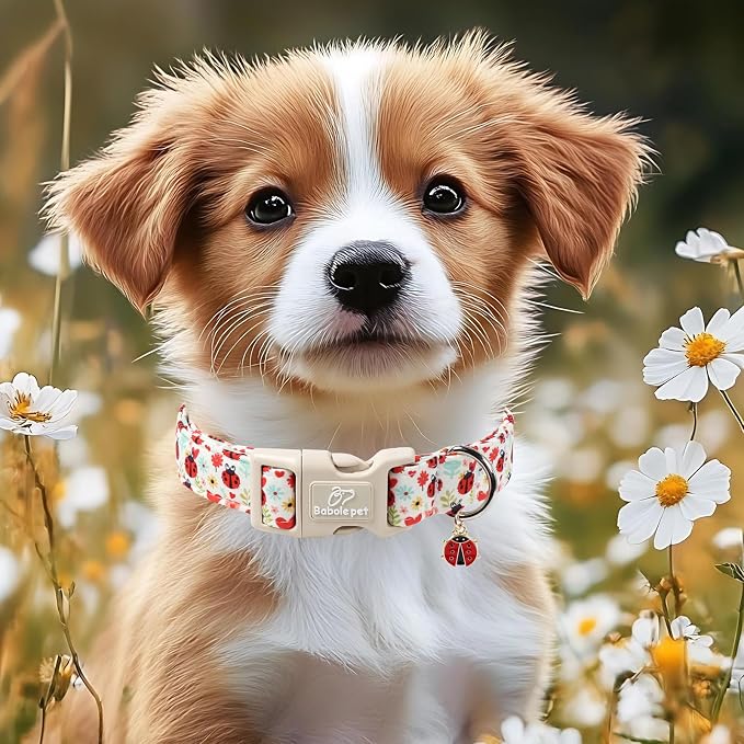 Ladybug Dog Collar for Medium Dogs - Image 5