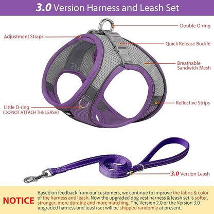 AIITLE No Pull Dog Harness and Leash Set, Step in Adjustable Dog Harness - Image 7