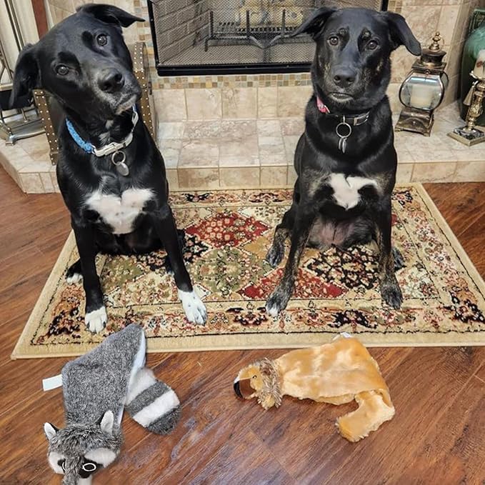 Best Pet Supplies Squeaky Dog Toys - Image 2