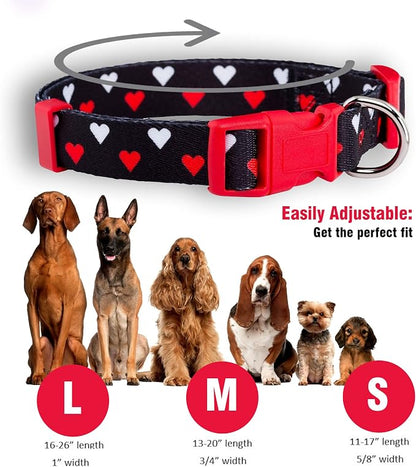 Native Pup Valentine Dog Collar - Image 3